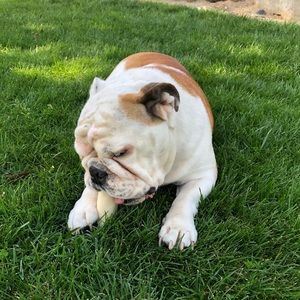 Meet your Posher, Carmen